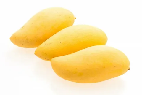 تصویر 3 از خرید کنسانتره انبه صادراتی + قیمت فروش استثنایی